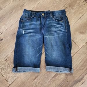 Democracy Bermuda Shorts